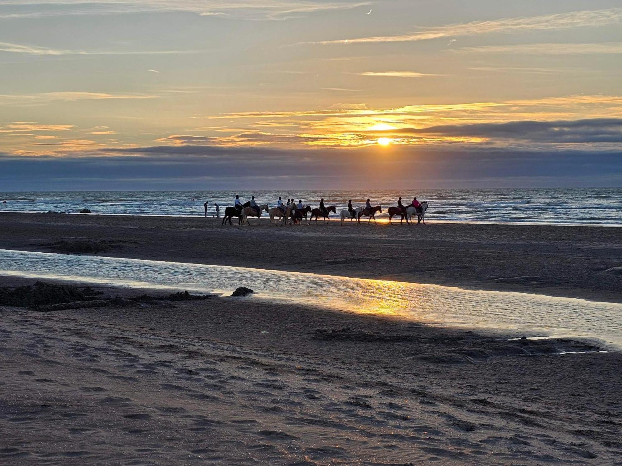 Cote A L'Oostduinkerke Met Gratis Garage公寓 外观 照片